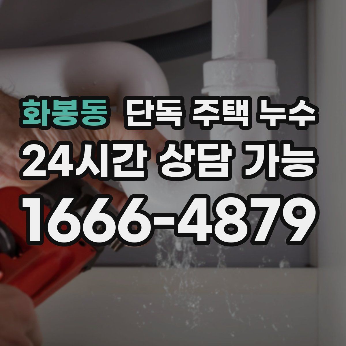 화봉동 단독 주택 누수 하수관 냄새와 습기가 같이 올라올 때