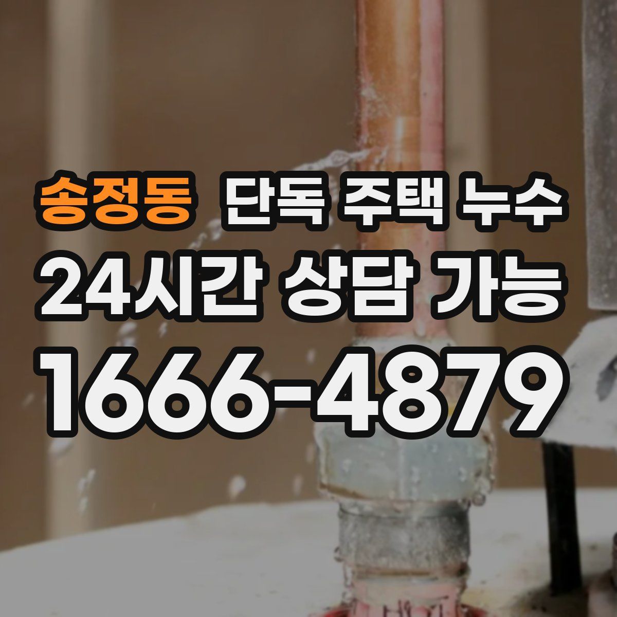 송정동 단독 주택 누수