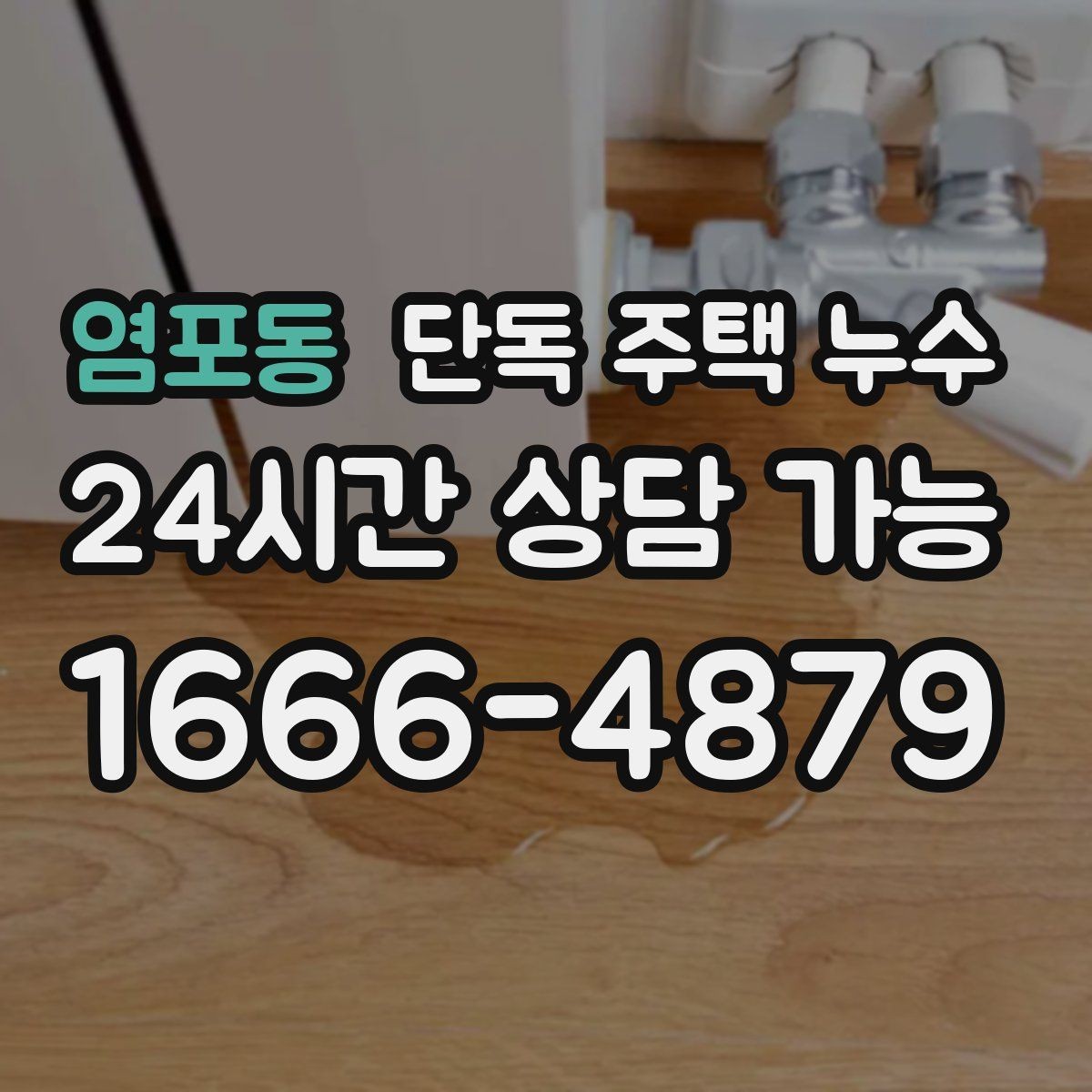 염포동 단독 주택 누수 보일러 배관 연결부가 젖는 경우