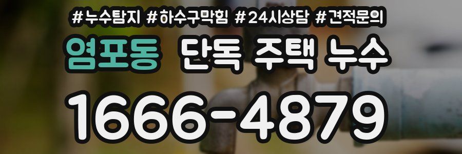 염포동 단독 주택 누수