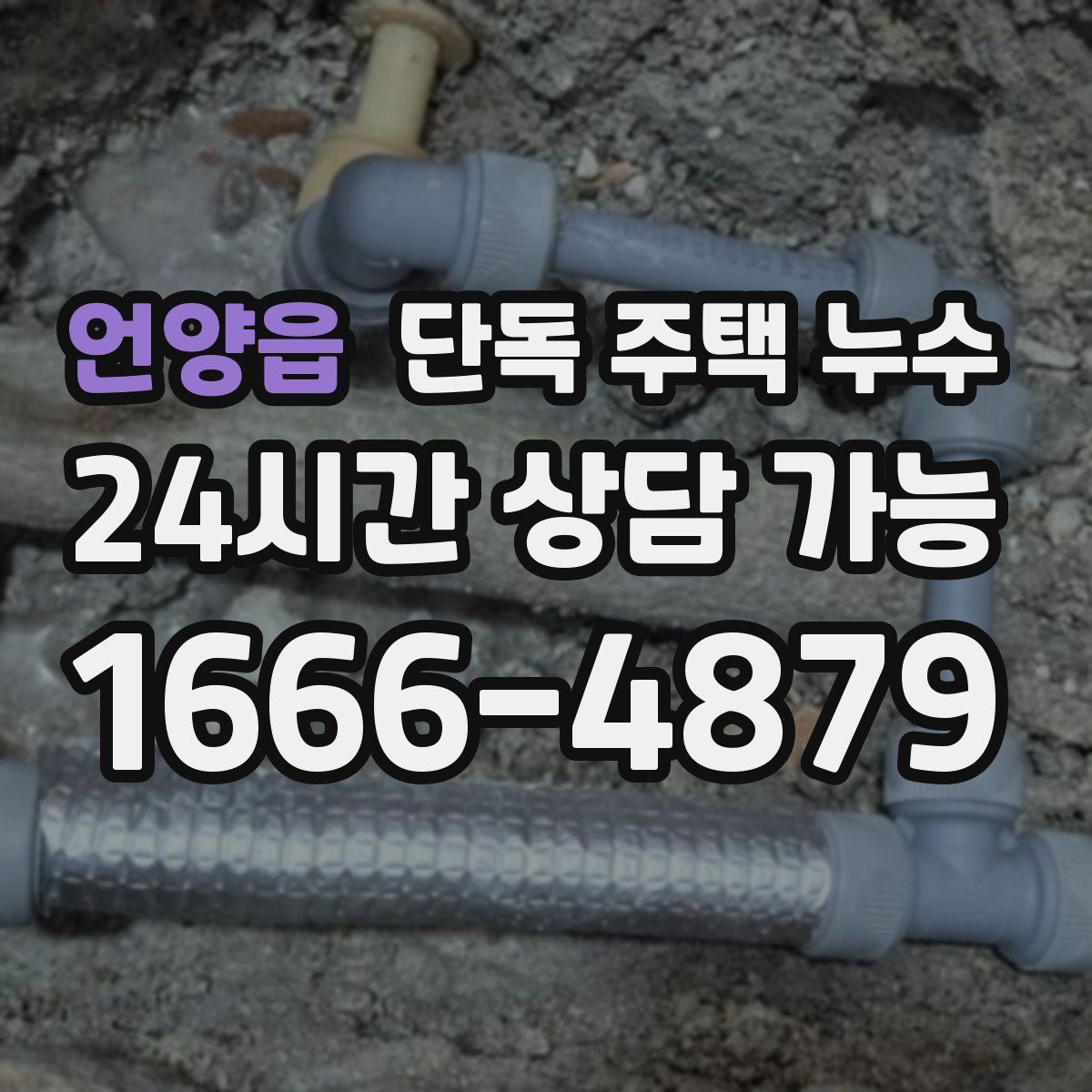 언양읍 단독 주택 누수