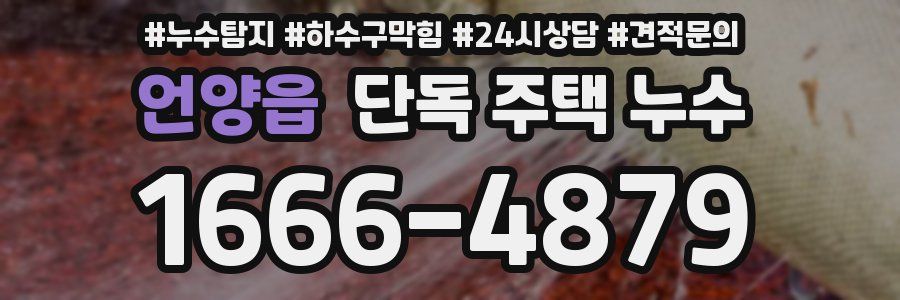 언양읍 단독 주택 누수