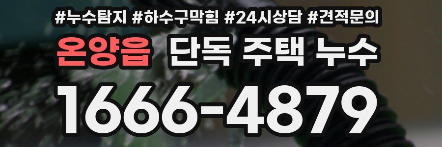 온양읍 단독 주택 누수