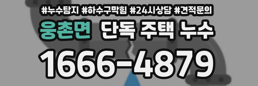 웅촌면 단독 주택 누수