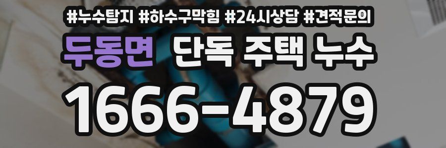 두동면 단독 주택 누수