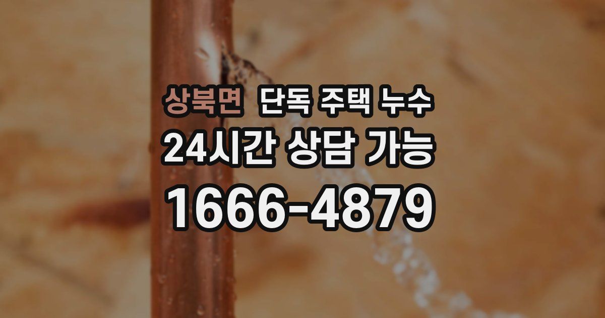 상북면 단독 주택 누수