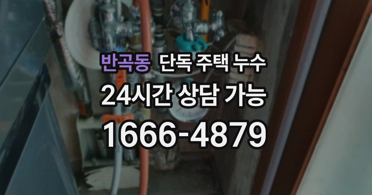 반곡동 단독 주택 누수