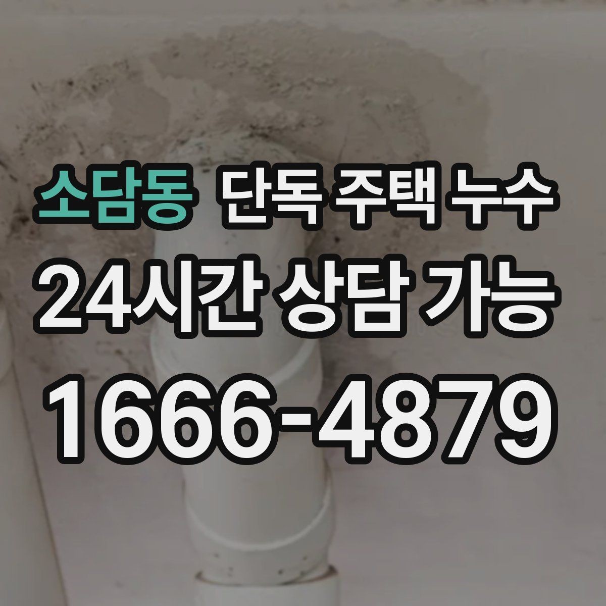소담동 단독 주택 누수 욕조·샤워부스 실리콘이 떨어졌을 때
