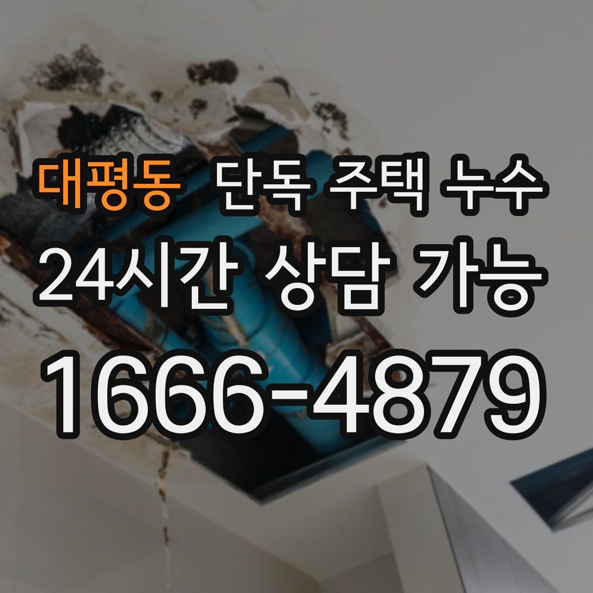대평동 단독 주택 누수 홈통이 넘쳐 실내 누수로 이어지는 경우