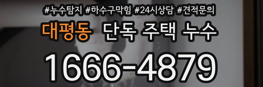 대평동 단독 주택 누수