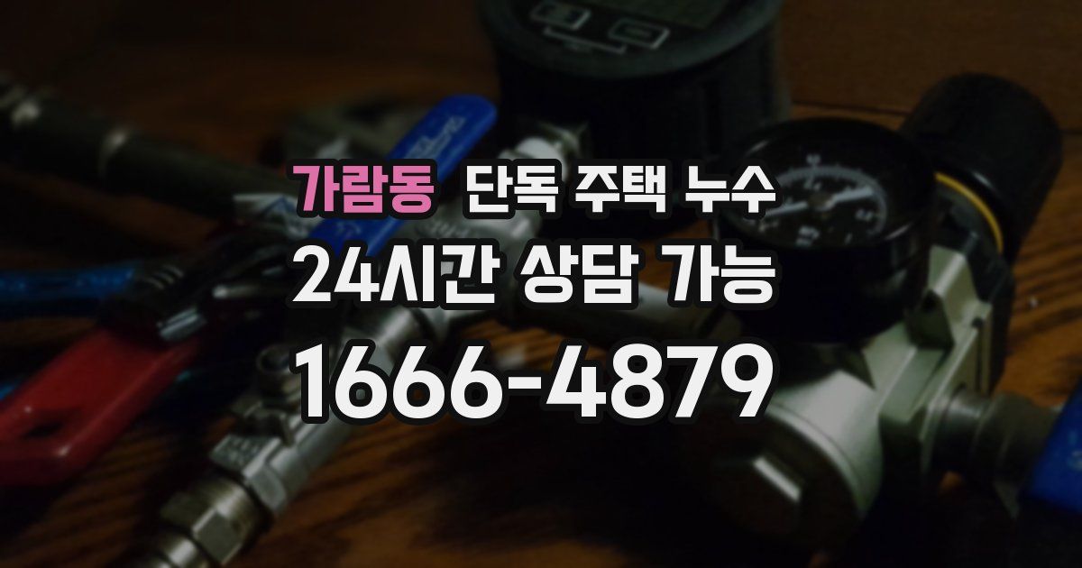 가람동 단독 주택 누수