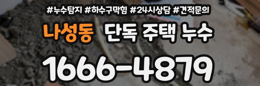 나성동 단독 주택 누수