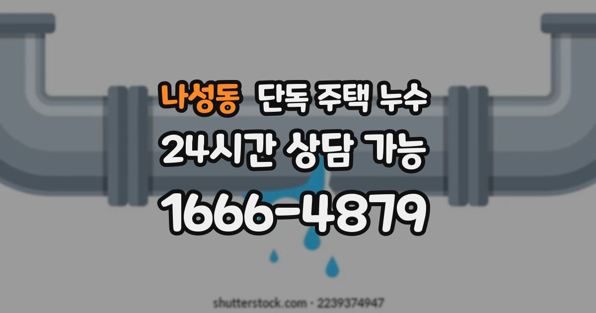 나성동 단독 주택 누수
