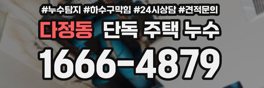 다정동 단독 주택 누수