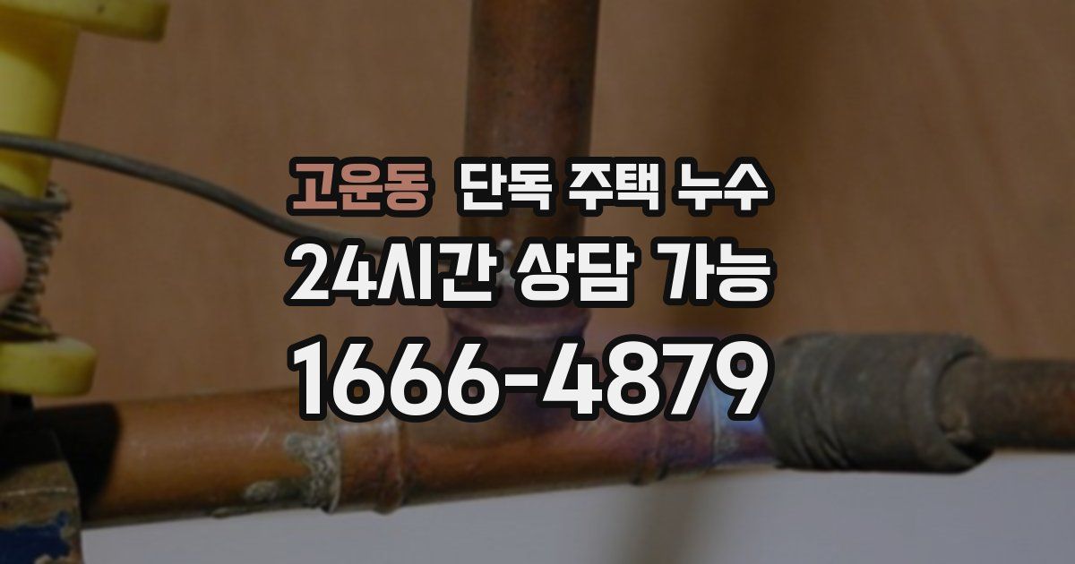 고운동 단독 주택 누수