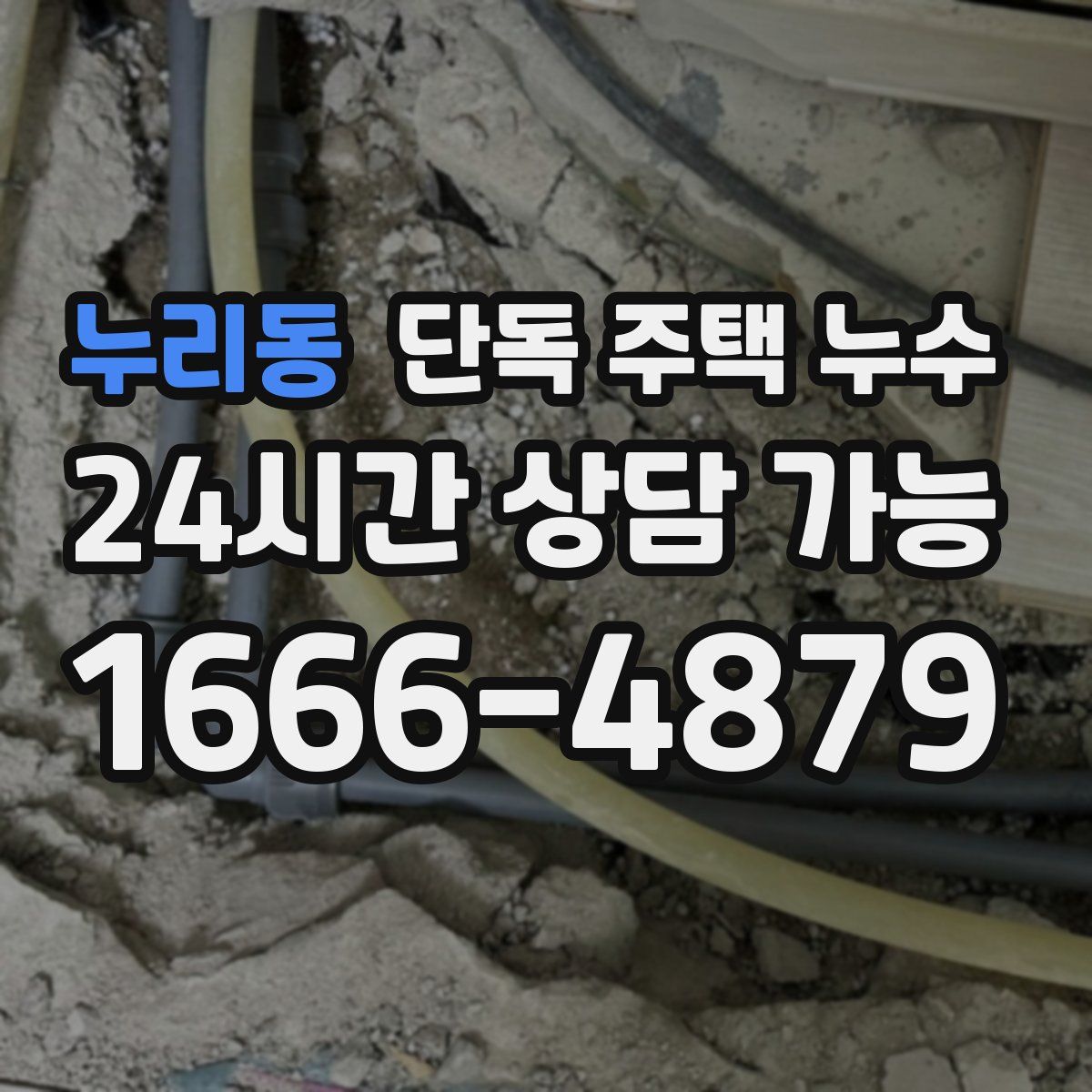 누리동 단독 주택 누수