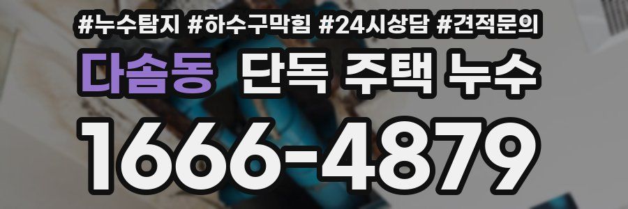 다솜동 단독 주택 누수