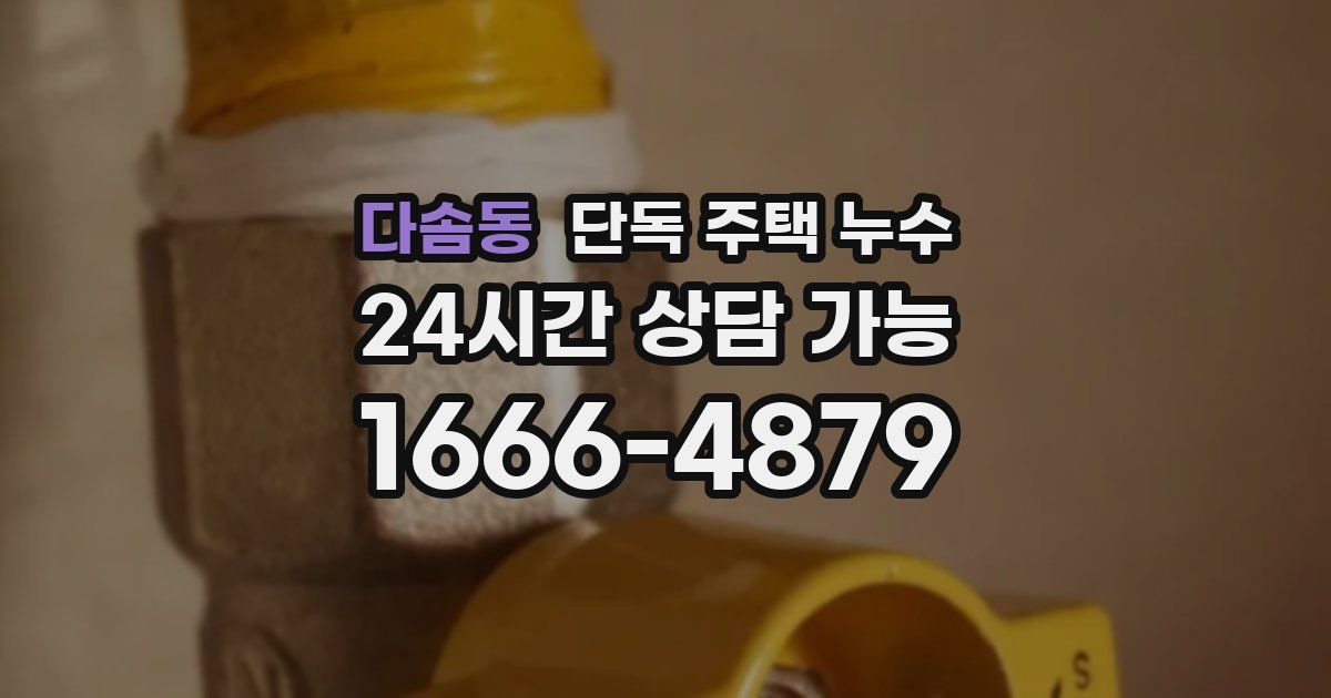 다솜동 단독 주택 누수