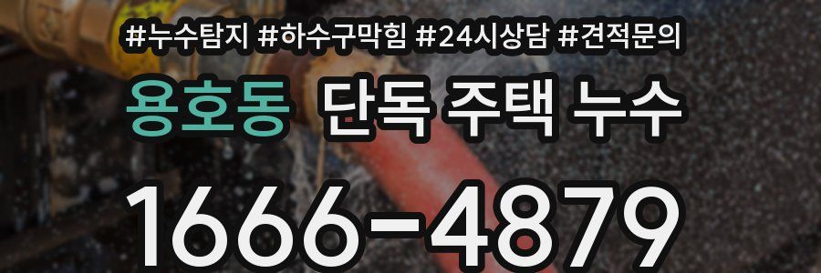 용호동 단독 주택 누수