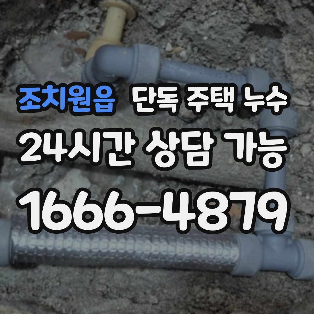 조치원읍 단독 주택 누수 마당 배수로 정비가 중요한 이유