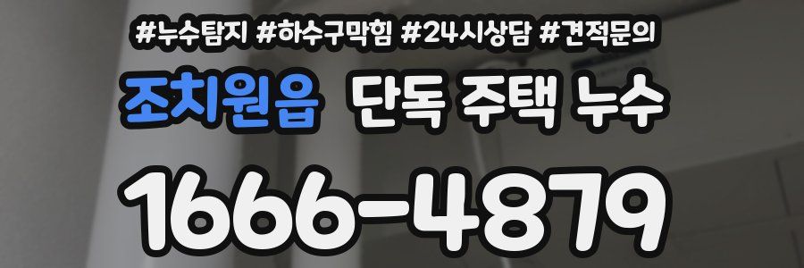 조치원읍 단독 주택 누수