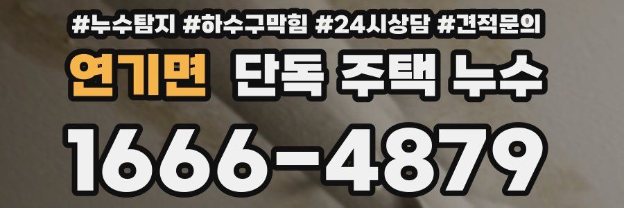 연기면 단독 주택 누수