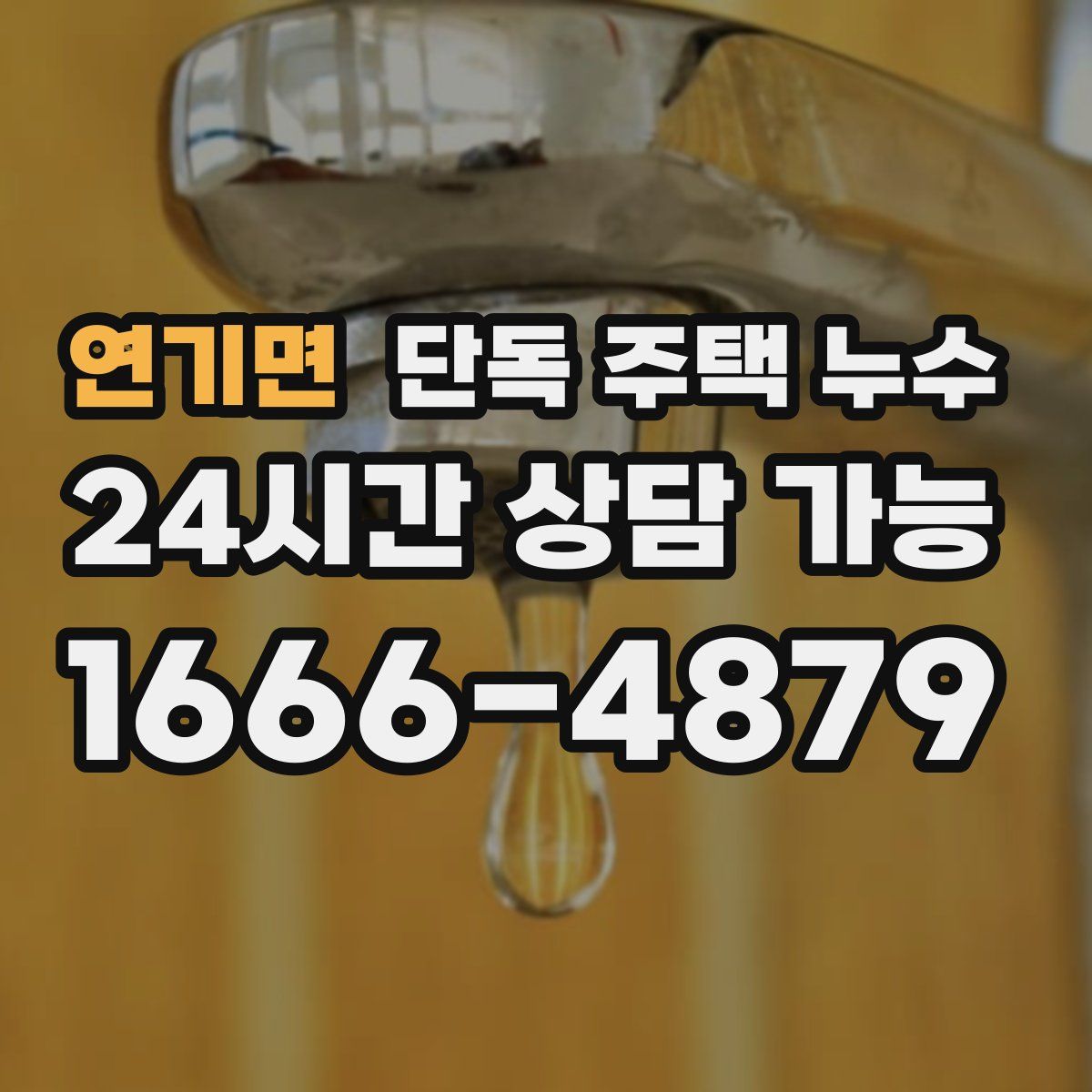 연기면 단독 주택 누수