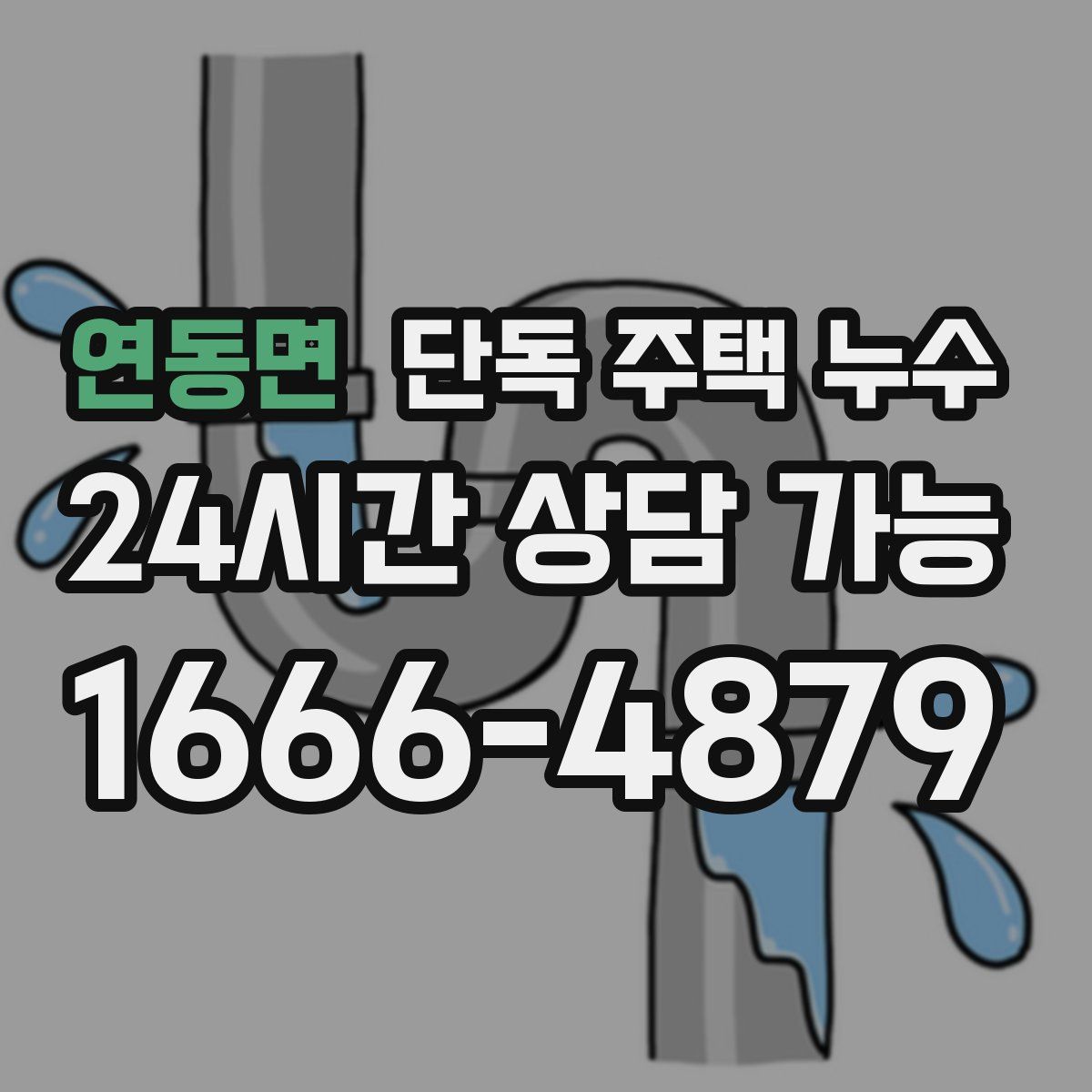 연동면 단독 주택 누수