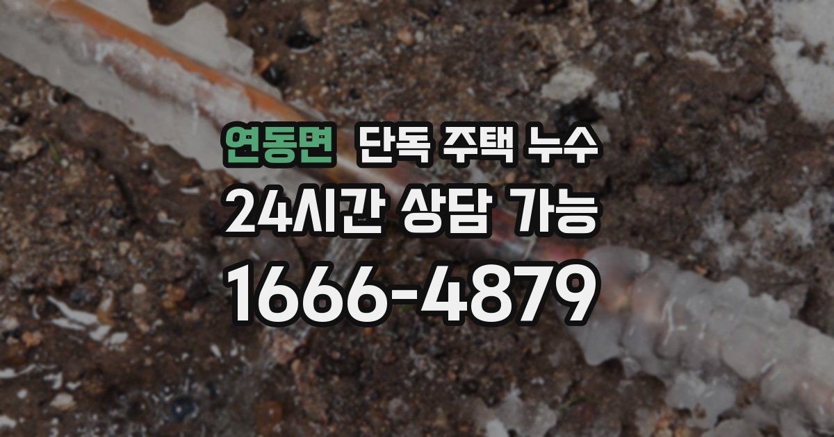연동면 단독 주택 누수