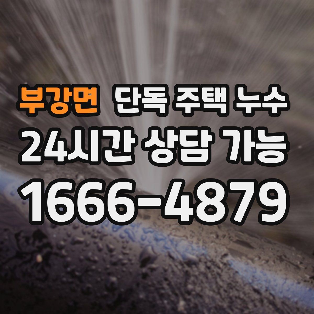 부강면 단독 주택 누수 주방 벽면이 젖는다면 배관부터 볼까
