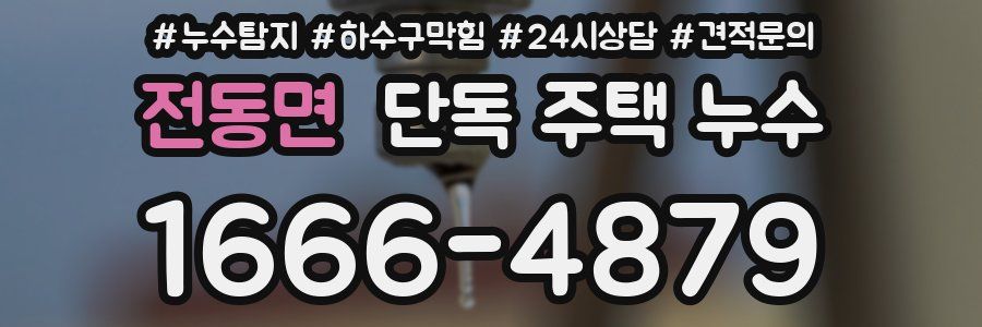 전동면 단독 주택 누수