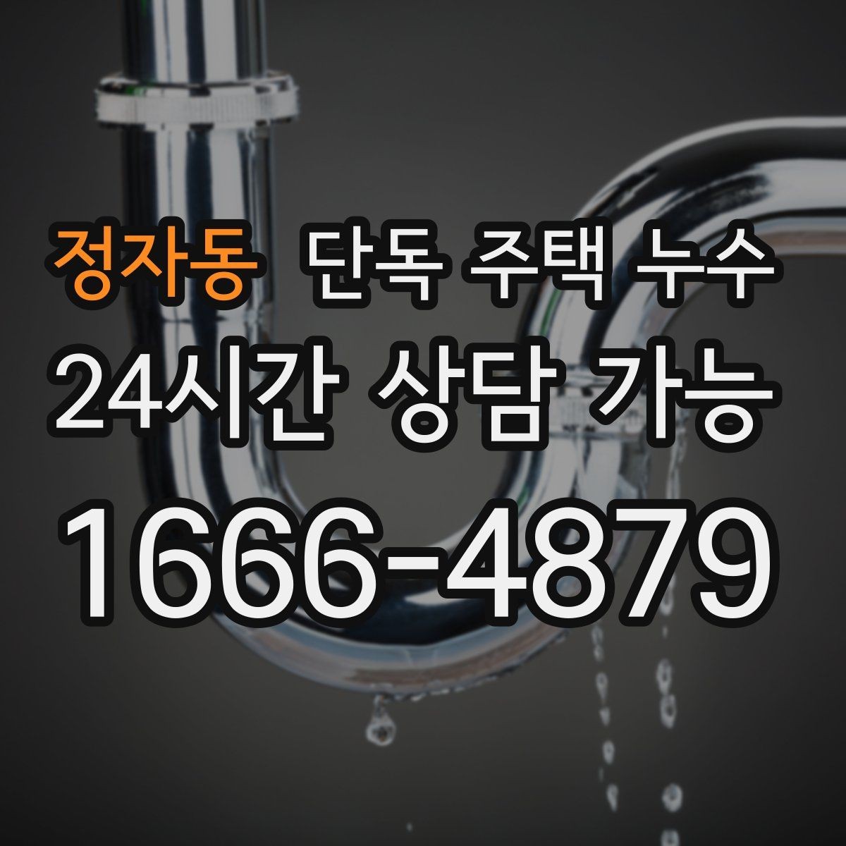 정자동 단독 주택 누수 세탁실 바닥이 늘 젖어있는 이유