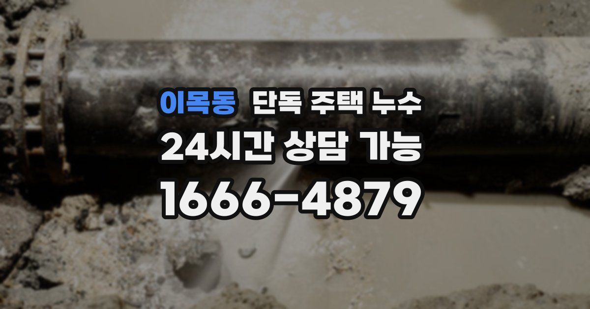 이목동 단독 주택 누수