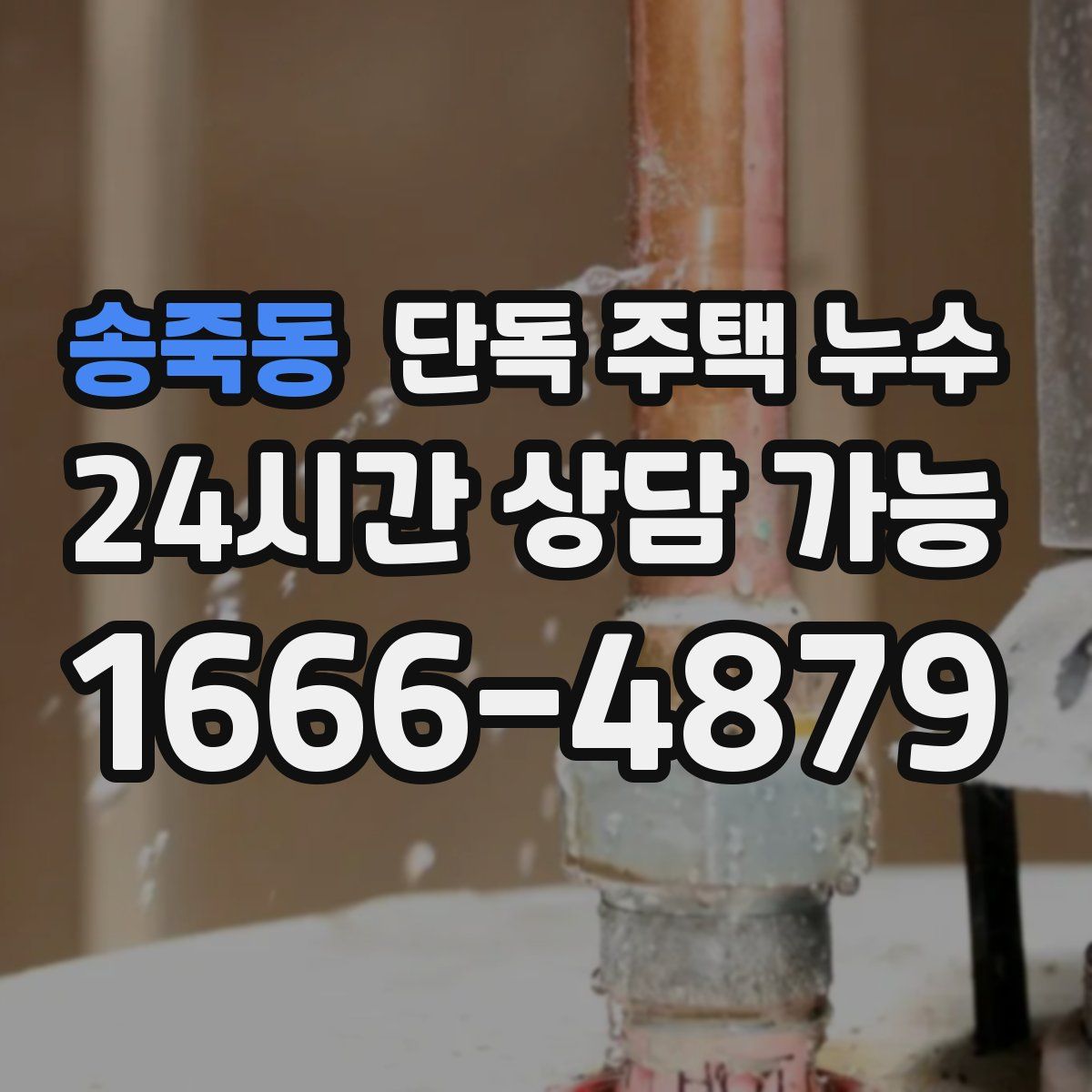 송죽동 단독 주택 누수