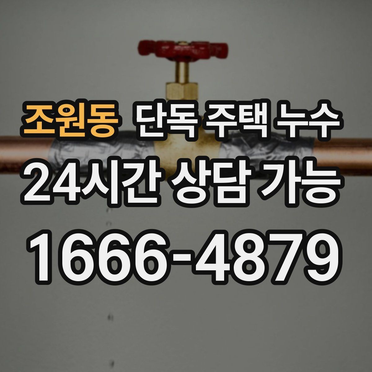 조원동 단독 주택 누수 물자국 모양으로 원인을 추정하는 방법