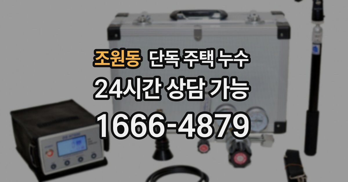 조원동 단독 주택 누수
