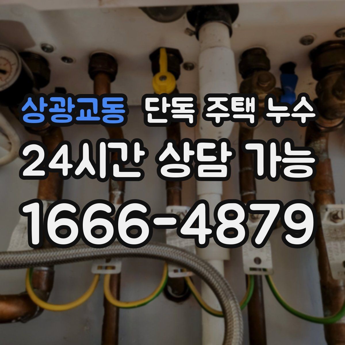 상광교동 단독 주택 누수 세탁기 급수호스 연결부 누수 점검