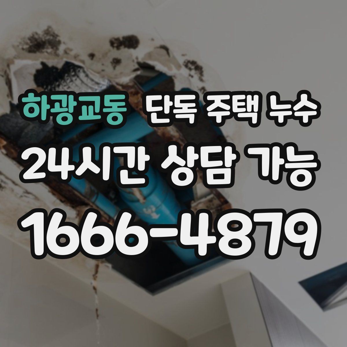 하광교동 단독 주택 누수 샤워 후 거실 쪽까지 습기가 퍼질 때