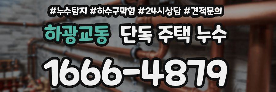 하광교동 단독 주택 누수