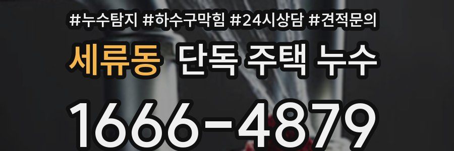 세류동 단독 주택 누수