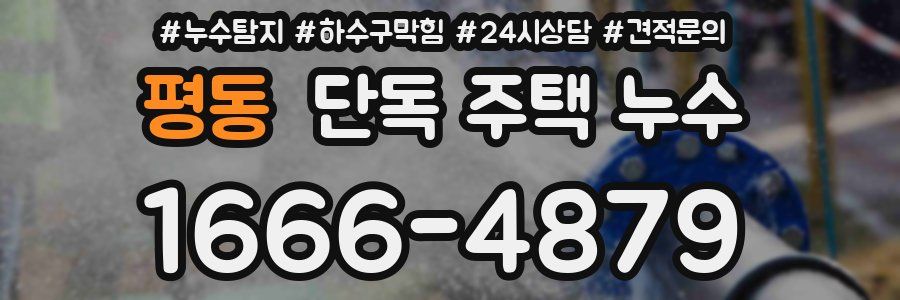 평동 단독 주택 누수