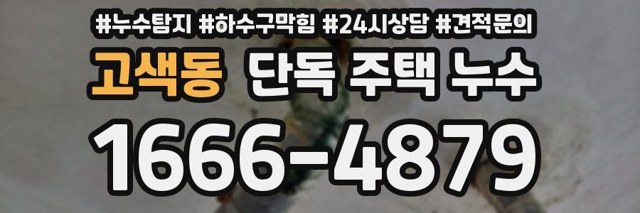 고색동 단독 주택 누수