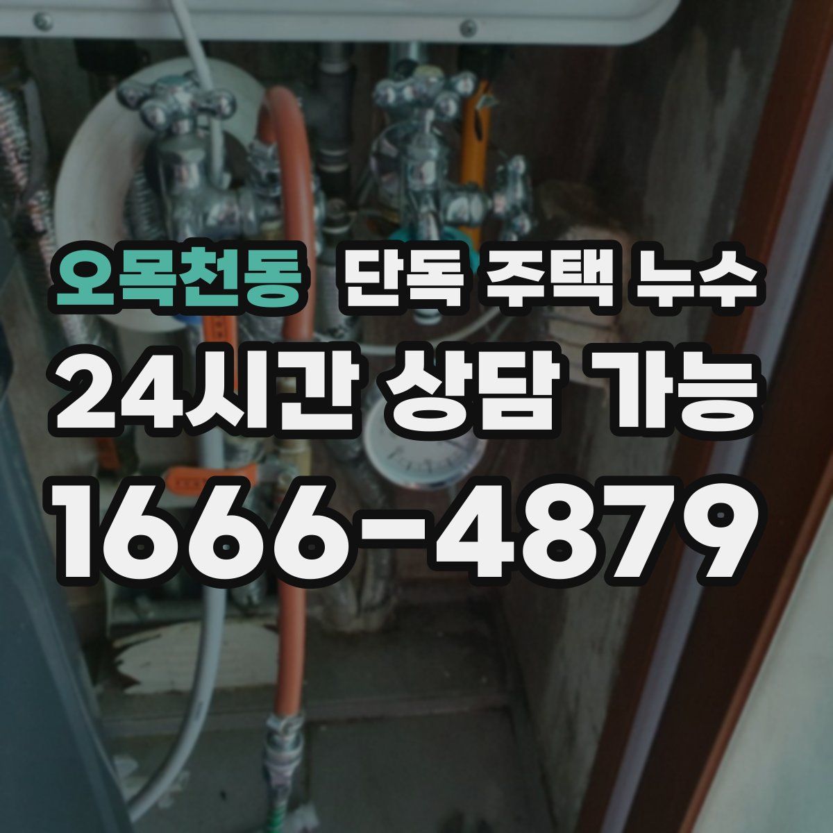 오목천동 단독 주택 누수