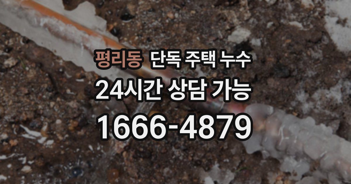 평리동 단독 주택 누수