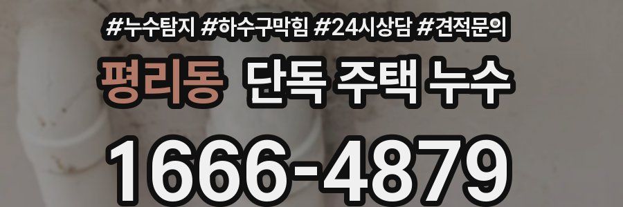 평리동 단독 주택 누수