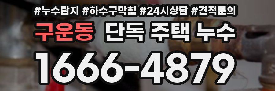 구운동 단독 주택 누수