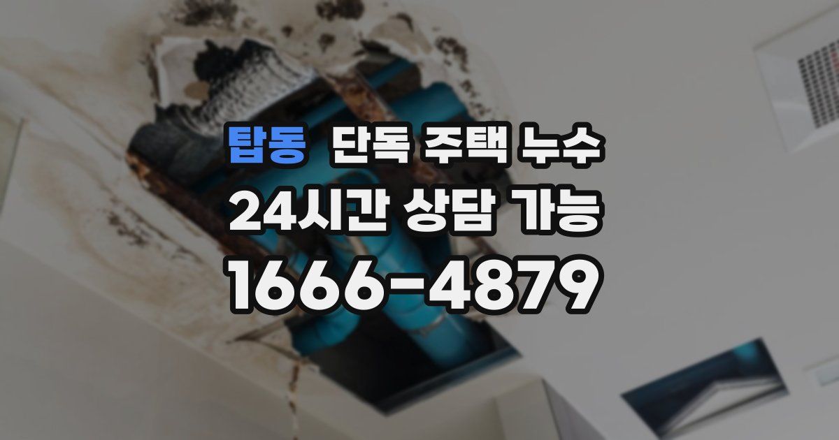 탑동 단독 주택 누수