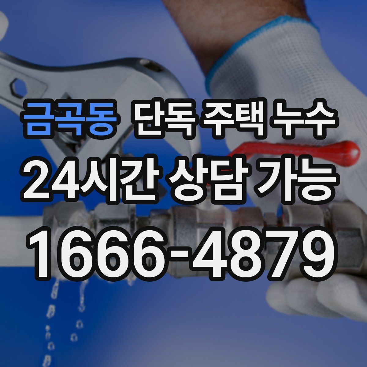 금곡동 단독 주택 누수