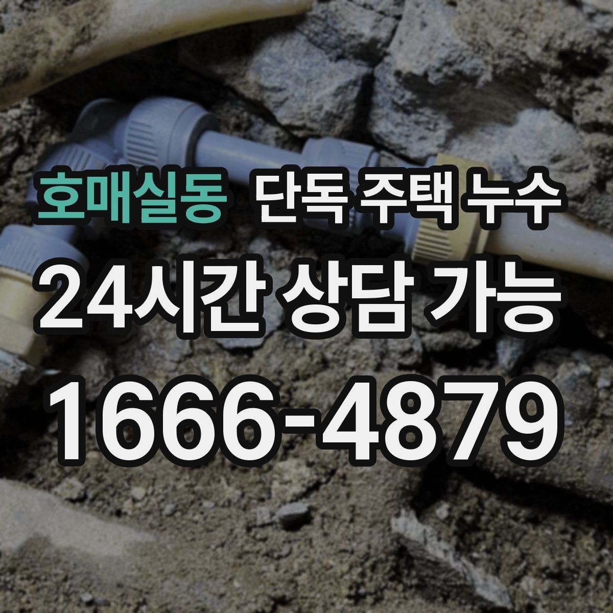 호매실동 단독 주택 누수 다용도실 바닥 물 고임 원인 찾기