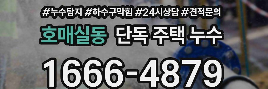 호매실동 단독 주택 누수